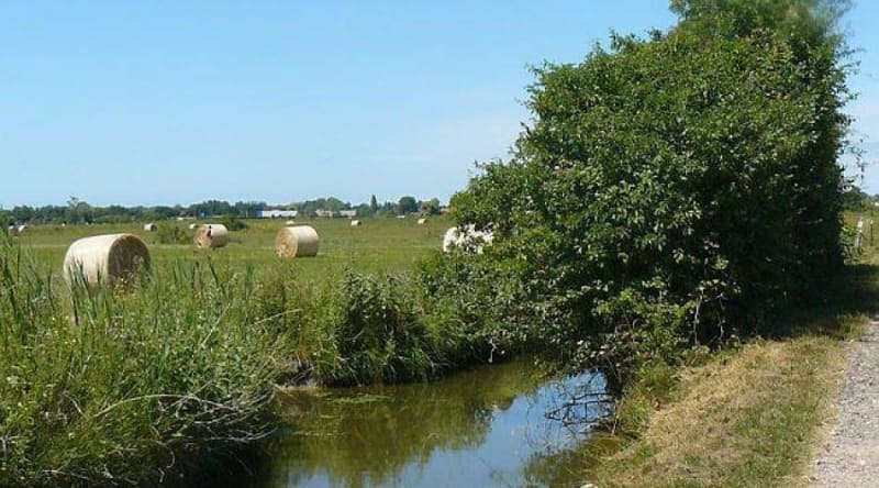 Tour des marais de Cabourg et rencontres discrètes - Cabourg