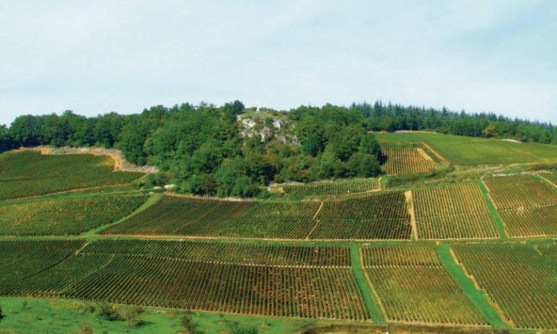 Vignobles de Givry et immersion en terre bourguignonne - Givry