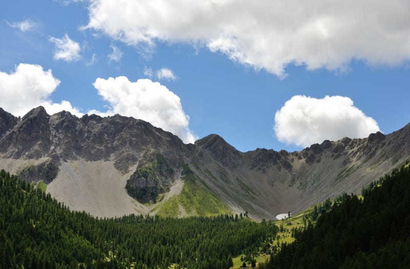 Jolie vue depuis la crête des Brusas et vie sauvage - Villar-Saint-Pancrace