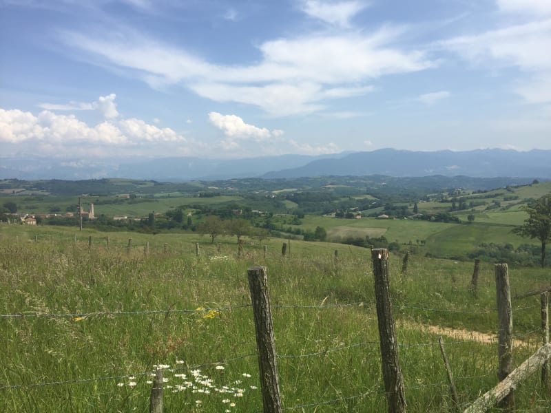 Balade à travers la forêt du Thivolet et faune discrète - Montmiral