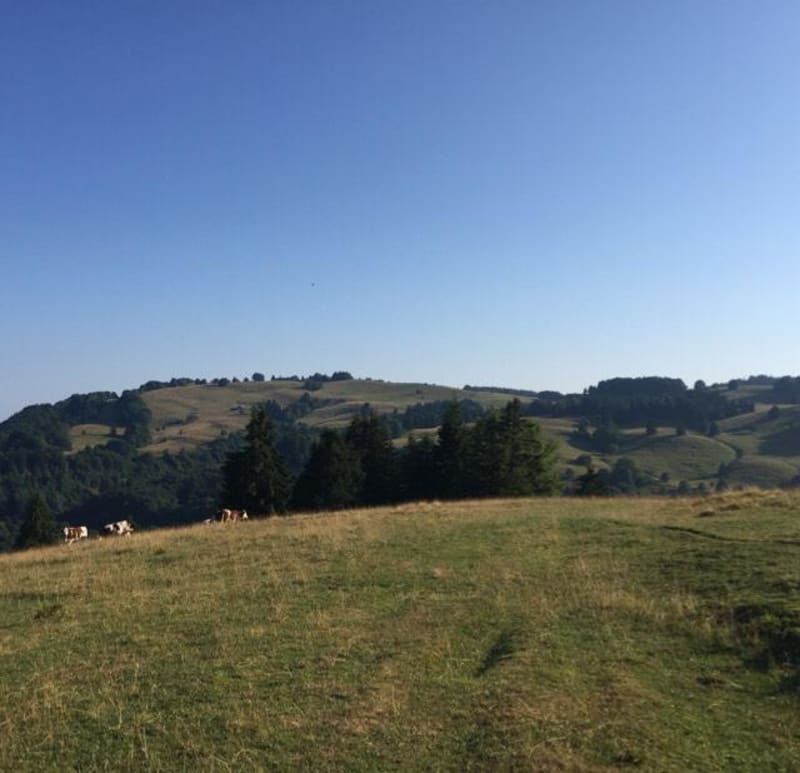 Boucle de Fontaine Froide et beautés du massif des Bauges - Saint-François-de-Sales