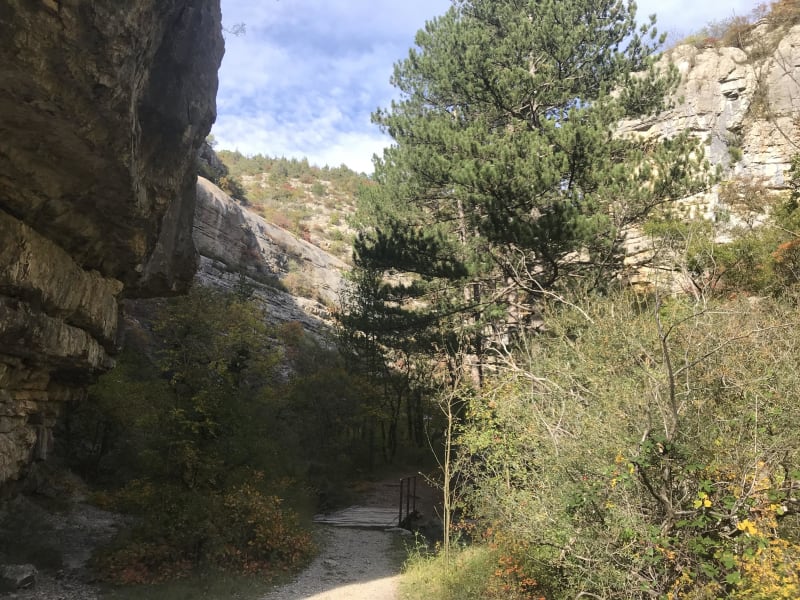 Ontdek de Luberon en zijn Saume Longe-kloof - Saume Longe