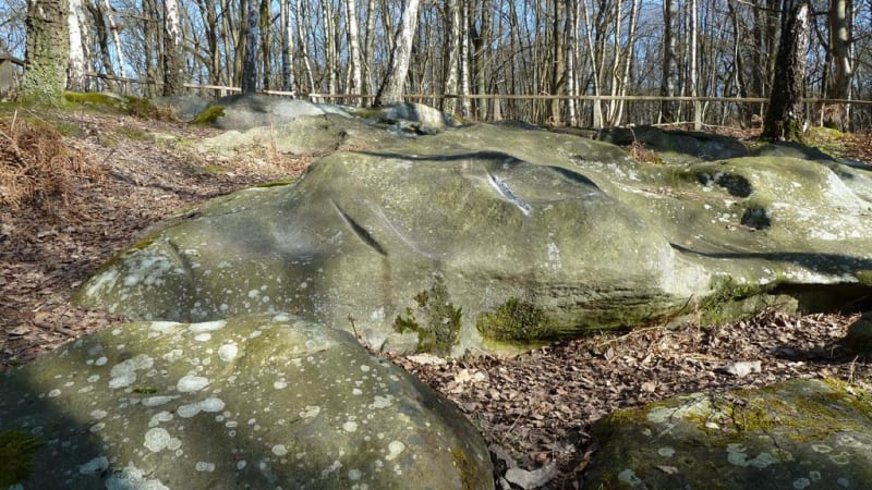 Bois de la Tour de Lay et vestige préhistorique - L'Isle-Adam