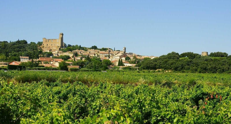 Vignoble de Châteauneuf-du-Pape et dégustation - Châteauneuf-du-Pape