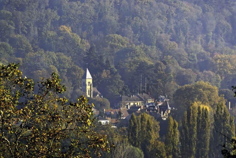 Entre ville et nature à Gif-sur-Yvette et parfums des bois - Gif-sur-Yvette