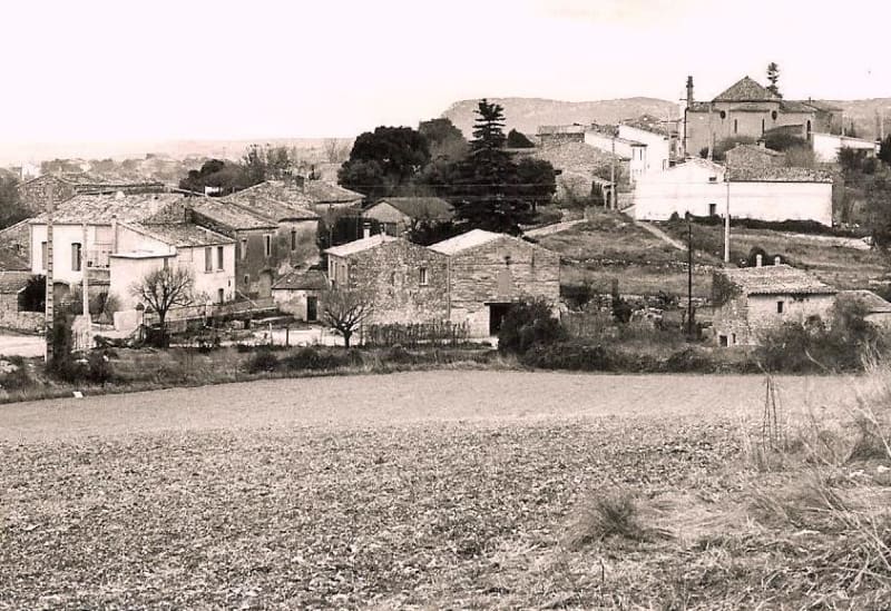 Vignoble d'Aspères et visite des domaines - Aspères