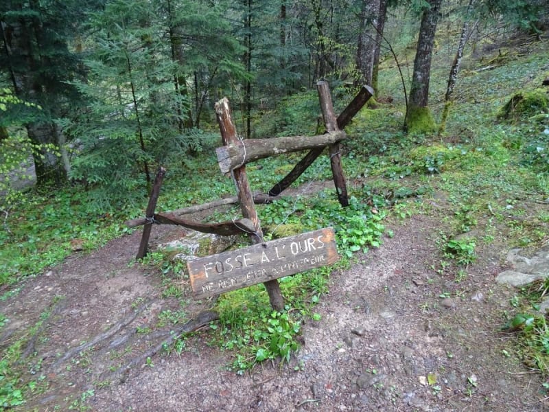 Faverges et promenade délicieuse dans les bois - Faverges
