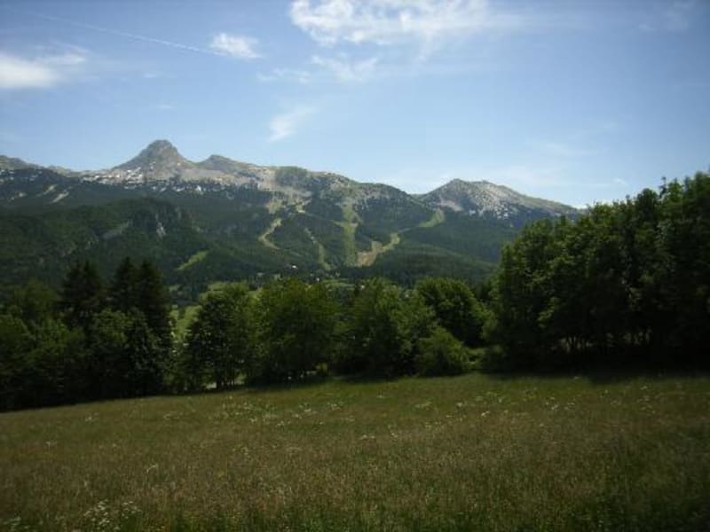 Vallon du Furon et sa merveilleuse flore sauvage - Lans en Vercors