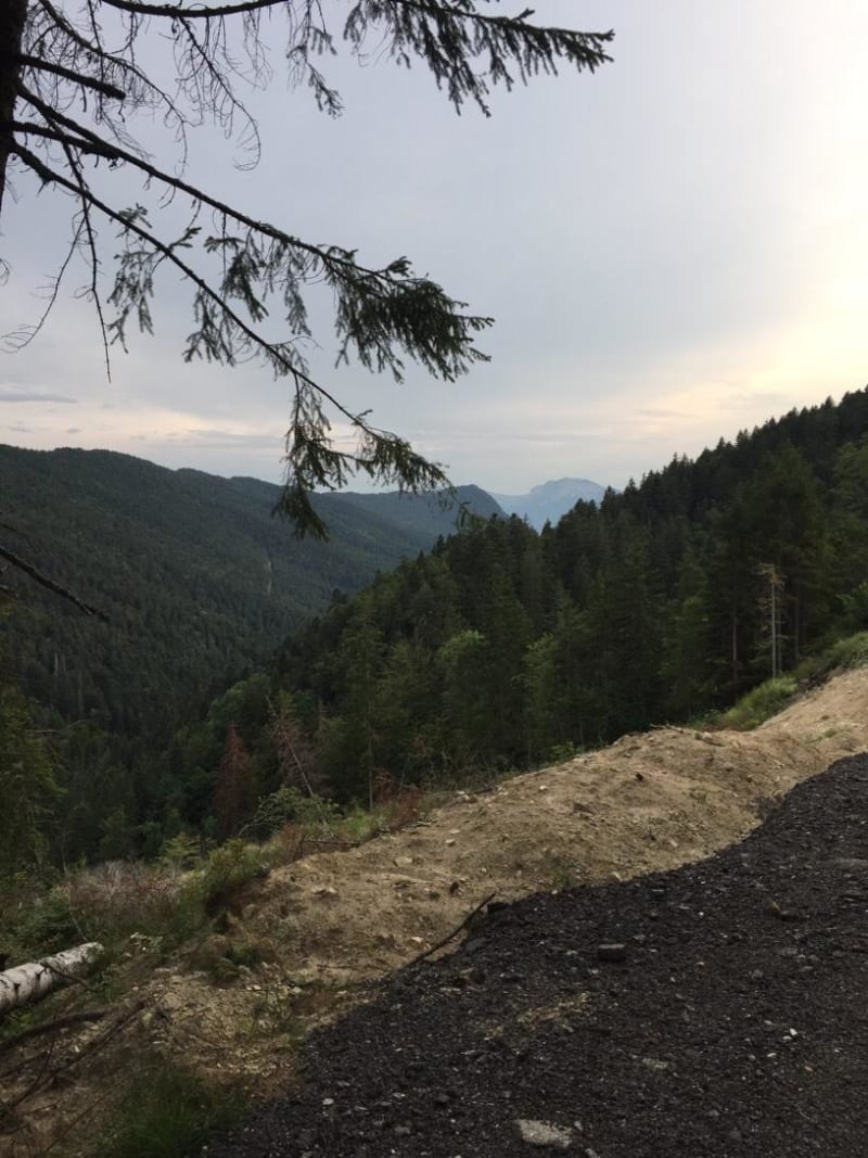 Balade forestière au Sappey et éveil des sens - Le Sappey-en-Chartreuse