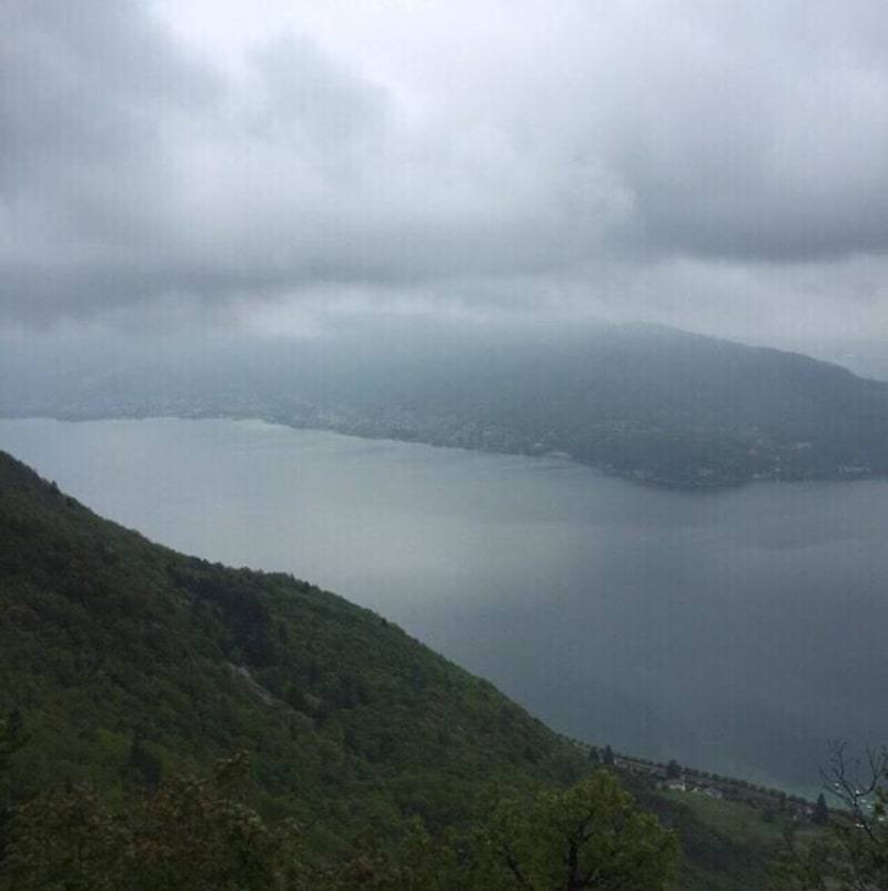 Col du pré Vernet et découvertes de ses plantes secrètes - Annecy le Vieux