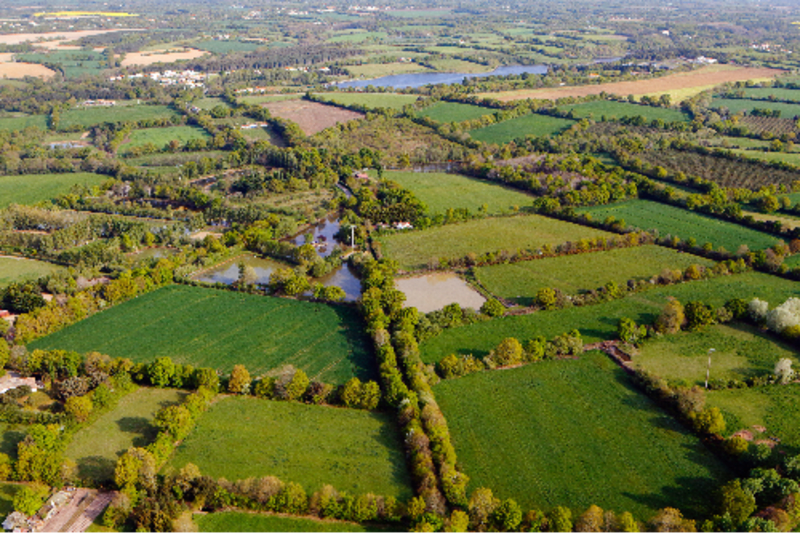 Saint-Lô, vallée de la Dollée et volées d'oiseaux bocagers - Saint-Lô