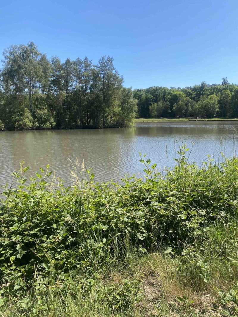 Petit tour à Sainte-Montaine et balade champêtre - Sainte-Montaine