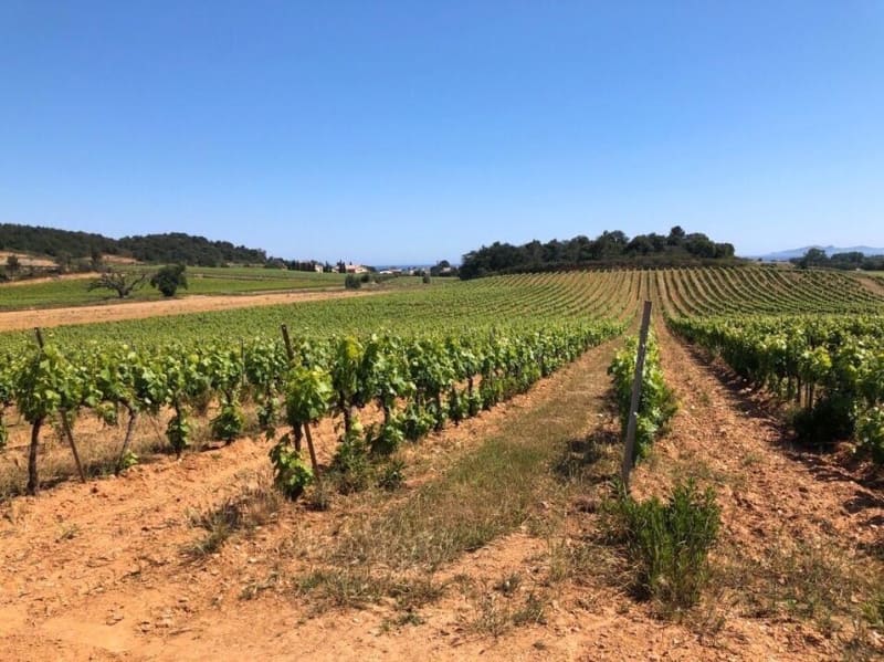 Londe-les-Maures et balade bucolique au cœur des vignobles - La Londe-les-Maures