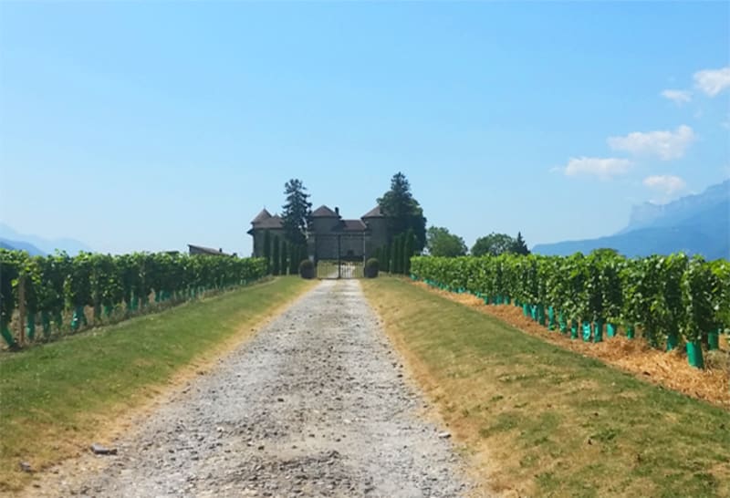 Visite au chevalier Bayard et sublime vallée du Grésivaudan - Saint-Maximin