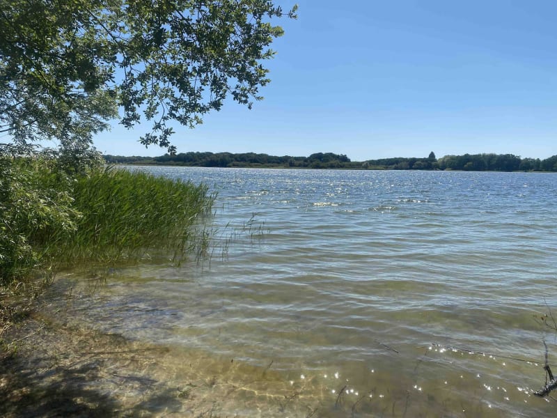 Etangs de Sologne et chemin de la mémoire - Argent-sur-Sauldre