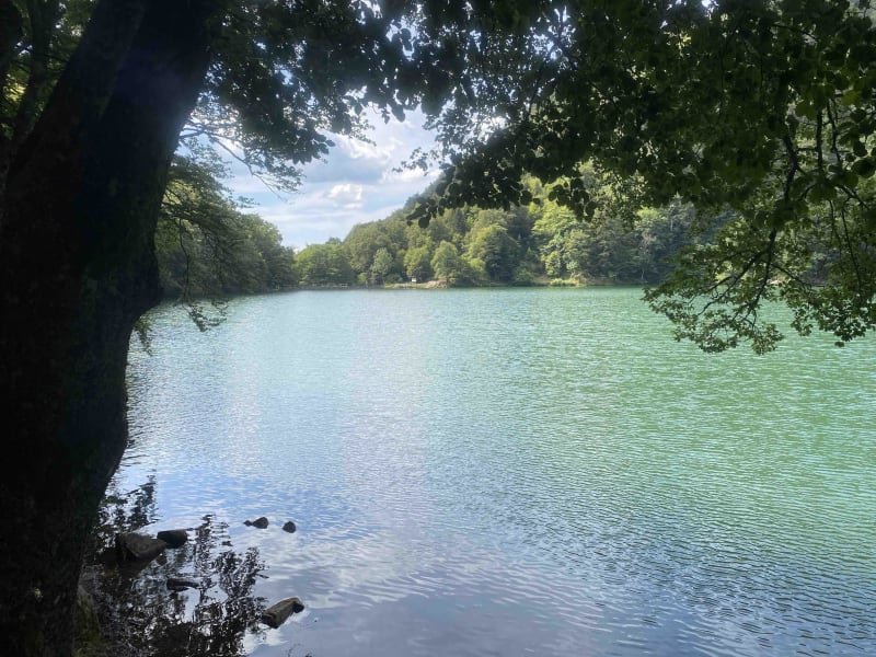 Magnifique Lac des Perches et balade sereine - Saint-Maurice-sur-Moselle