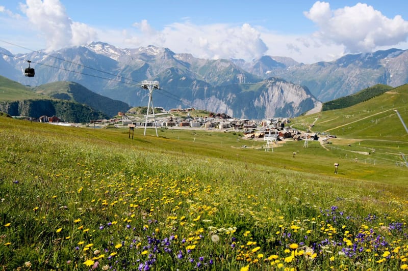 Tour de l'Américain et découverte de sa faune d'altitude - Alpe d'Huez