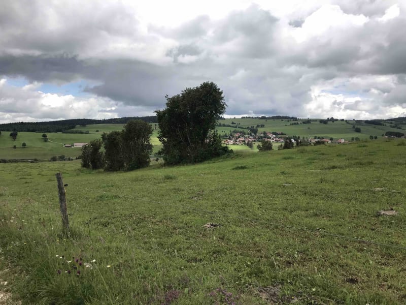 Balade dans les gorges de Fourperet et flore bariolée - Métabief