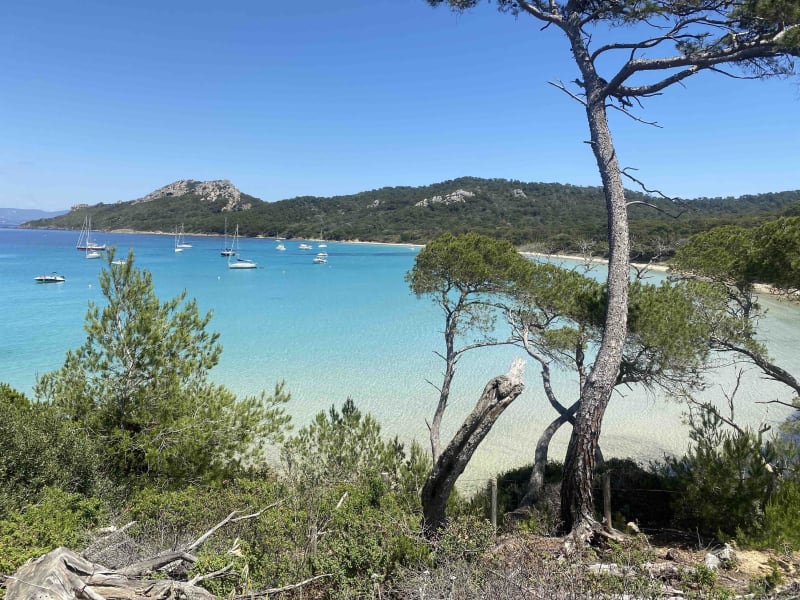 Précieuse île de Porquerolles et promesse d'évasion - Porquerolles