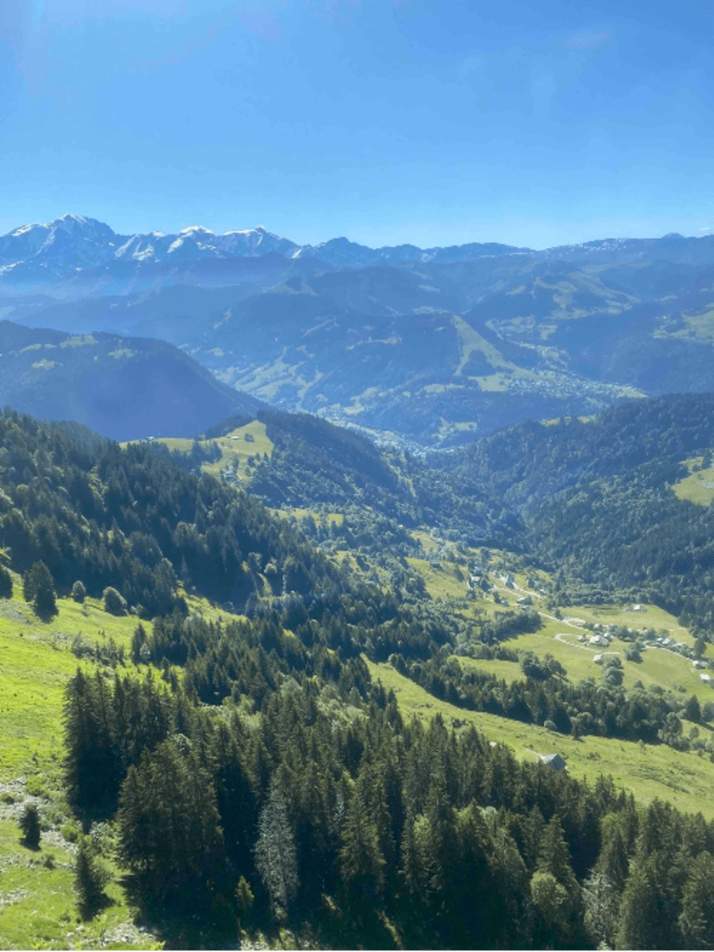 Croix de Stata et flore d'exception aux Aravis - La Giettaz, Annecy