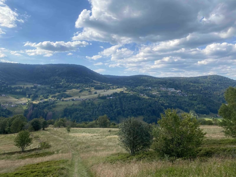 S'évader à Bussang et imaginer des histoires dans la forêt - Bussang