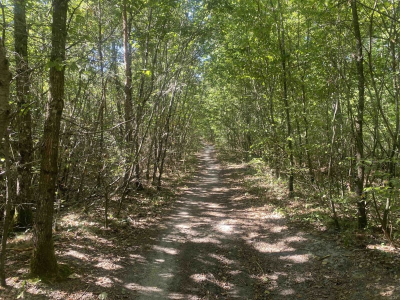 Circuit du gouffre de l'Enfer et secrets des bois - Bougy-lez-Neuville