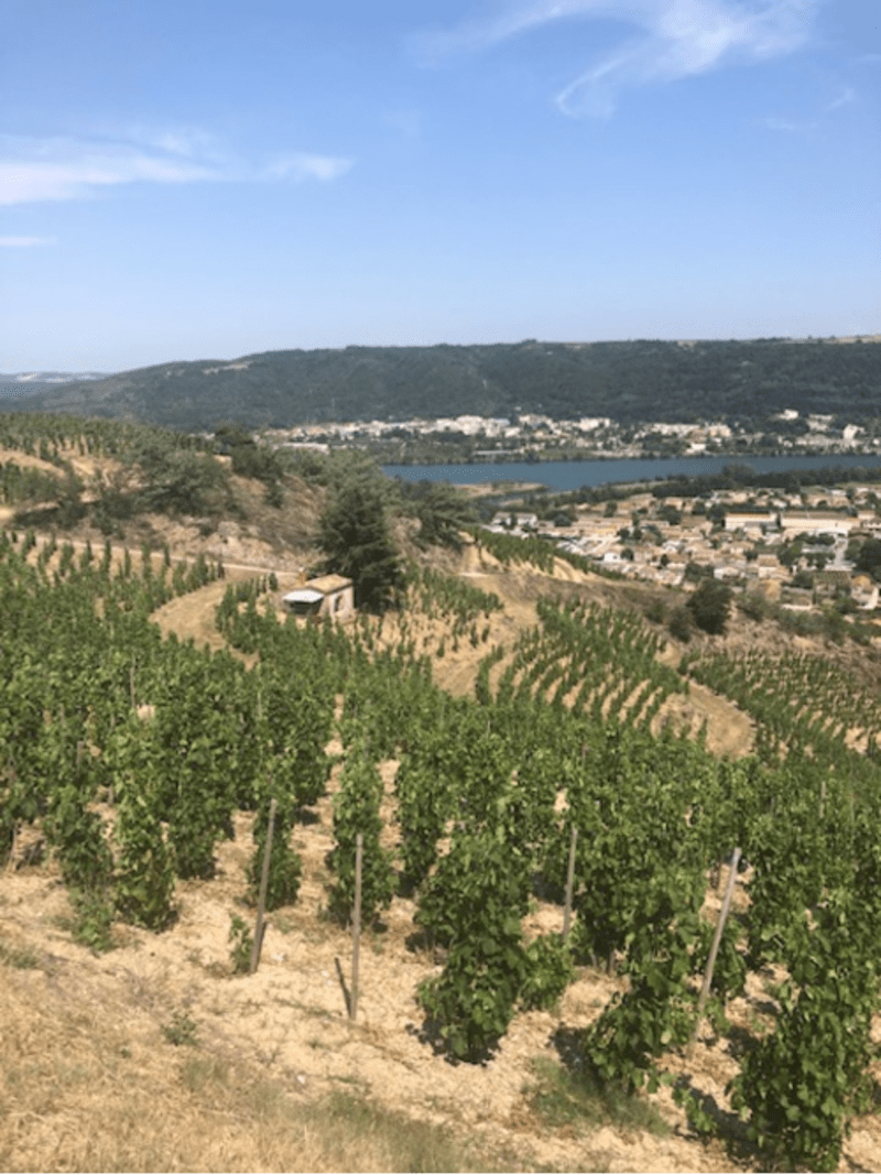 Patrimoine de Sarras et virée dans les vignes - Sarras