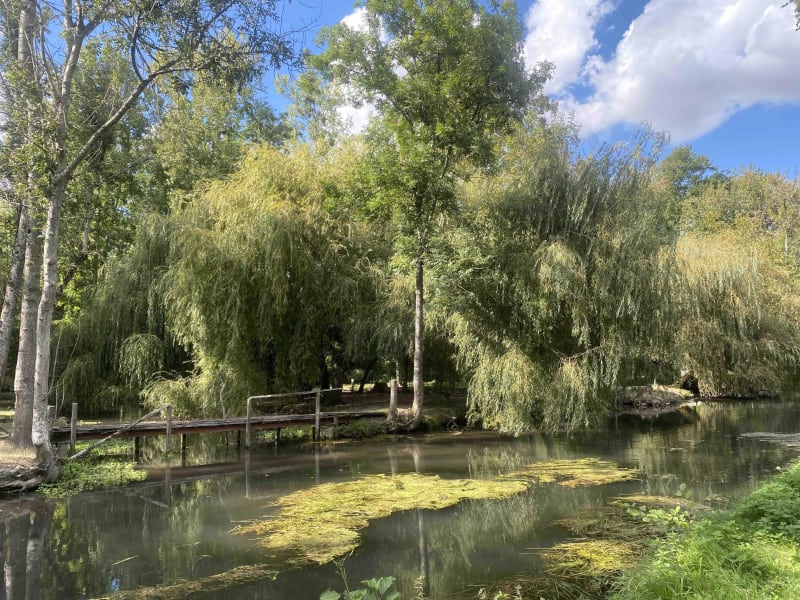 Longer les Mauves et pique-nique en pleine nature - Meung-sur-Loire