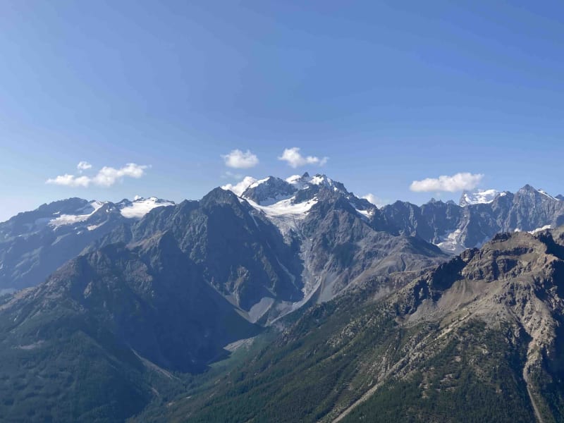 Geweldige Aiguillette du Lauzet en alpenfauna - Le Lauzet