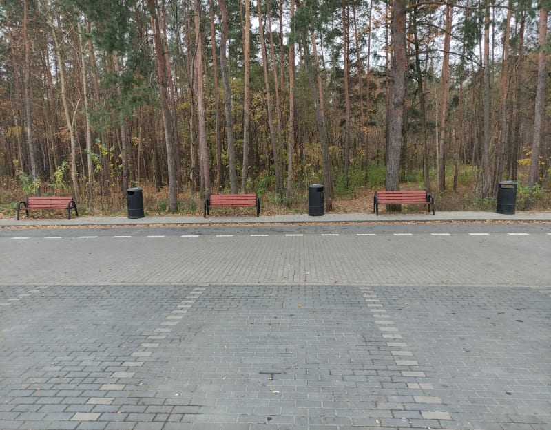 Przejdźmy się po parku "Lasek nad Narwią" - Ostrołęka