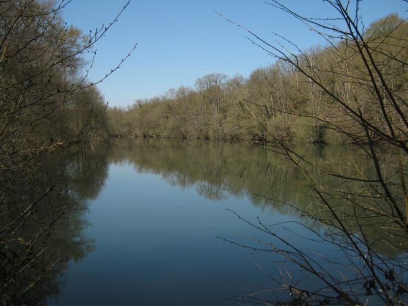 Mareaux-aux-Prés et bain de culture en bord de Loire - Mareaux-aux-Prés