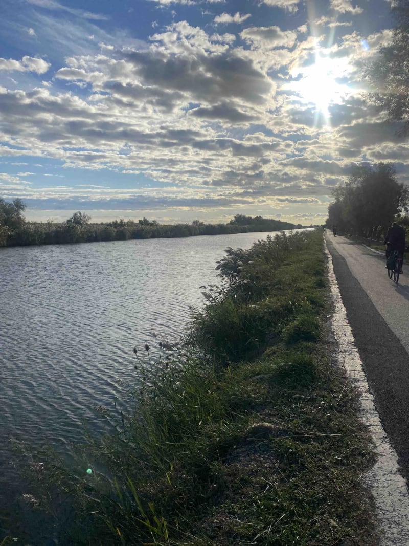 Balade en Camargue et sérénité d'un canal à l'autre - Vauvert
