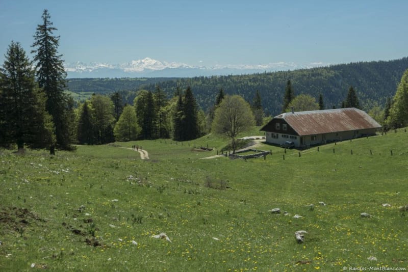 Boucle dans la vallée de la Jougnena et forêt ressourçante - Jougne
