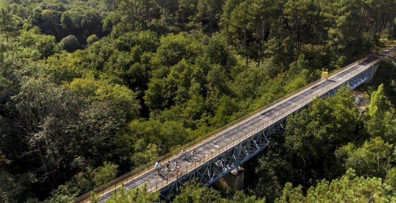 Vadrouille dans les landes et mise au vert authentique - Belin-Béliet