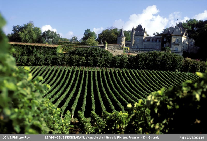 Circuit des vignes et saveurs des crus de Fronsac - Fronsac