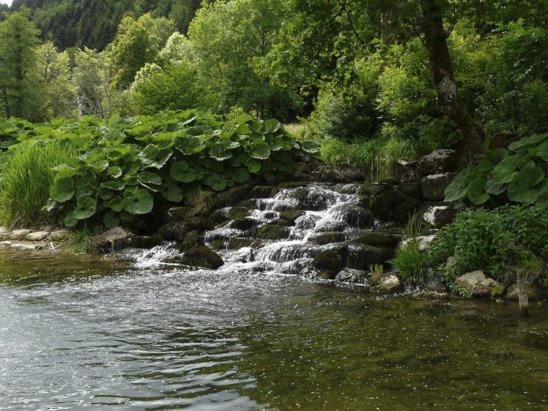 Richesses du Doubs et virée forestière à Goumois - Goumois