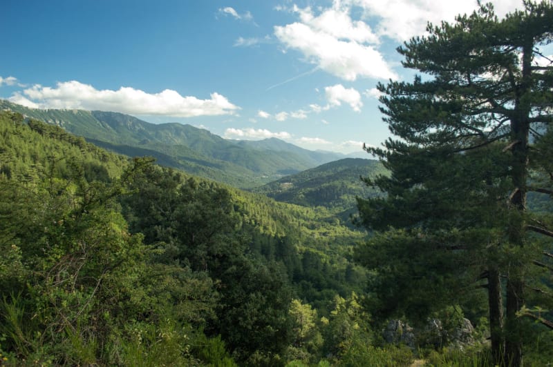 Sari-Solenzara et le site d'escalade de Monte Santu - Sari-Solenzara