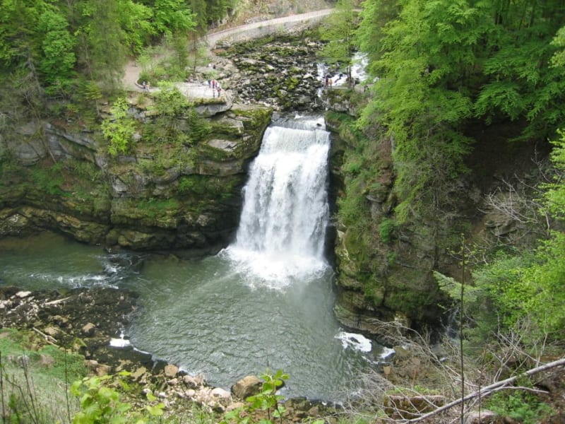 Saut du Doubs et bain de fraîcheur - La Courpée