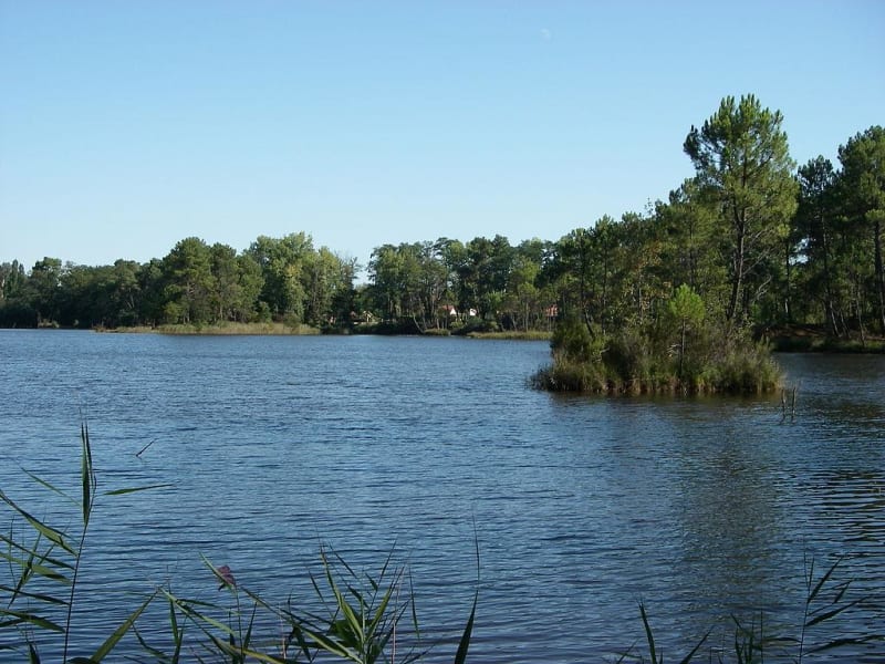 Tour du lac de Bousquey et regarder les poissons sauter - Hostens