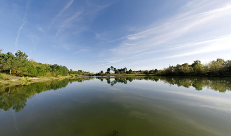 Estuaire de la Gironde et citadelle Vauban - Arcins
