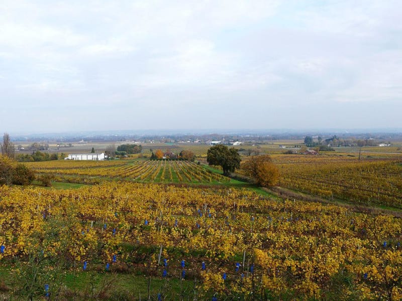 Vignoble de Monbazillac et patrimoine aux mille visages - Monbazillac
