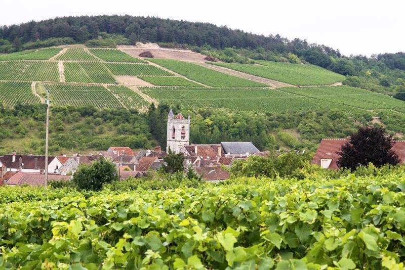 Découvrir le village, les vignes et le vin d'Irancy - Irancy