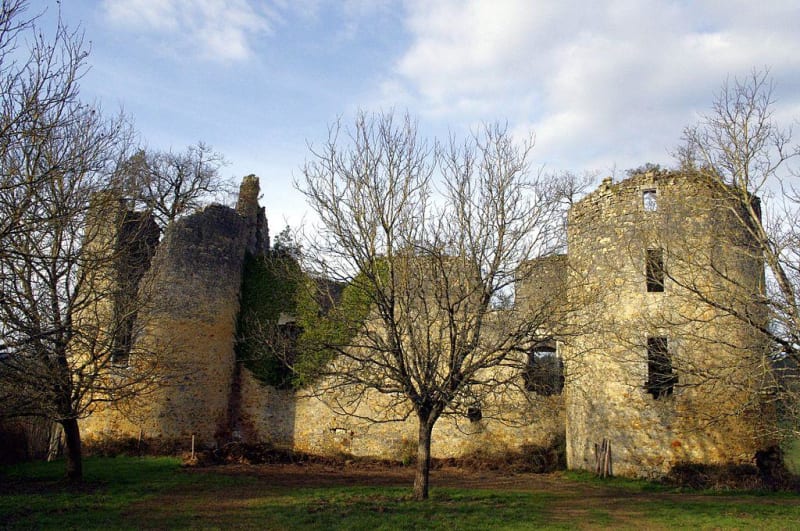 Boucle du château de la Renaudie et animaux de la forêt - Saint-Front-la-Rivière