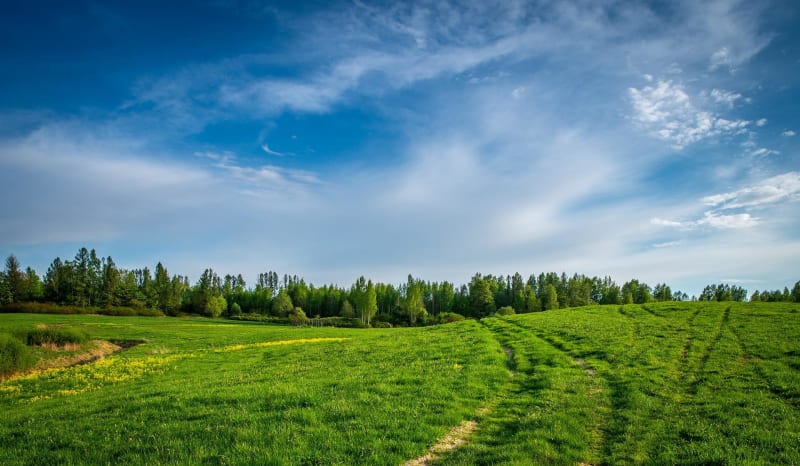 Wandeling in Champniers-et-Reilhac en zijn groene omgeving - Champniers-et-Reilhac