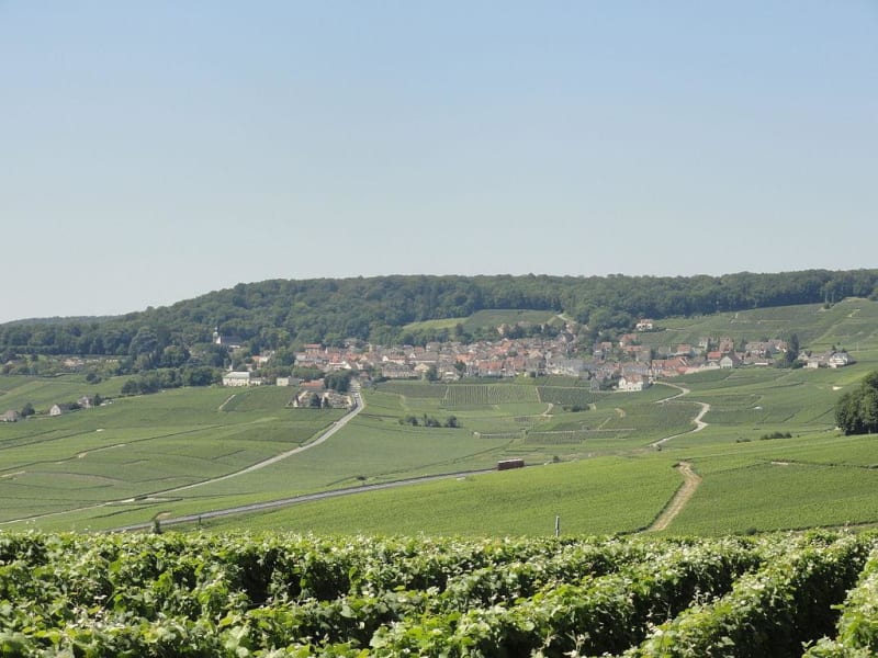 Berceau du Champagne et bords de Marne - Hautvillers