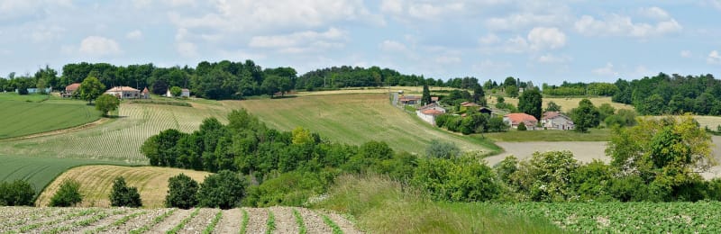 Mont de Berru et éveil des sens - Cernay-lès-Reims