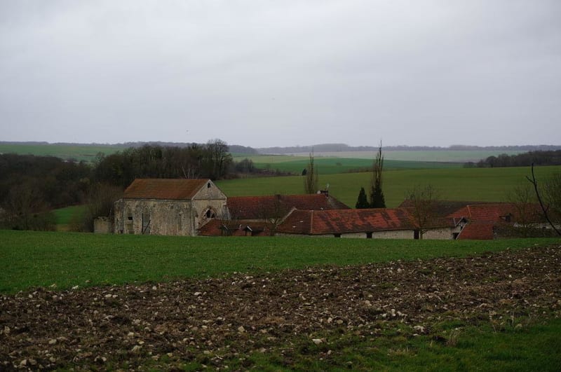 Coteaux de Passy-Grigny et nature enivrante - Passy-Grigny