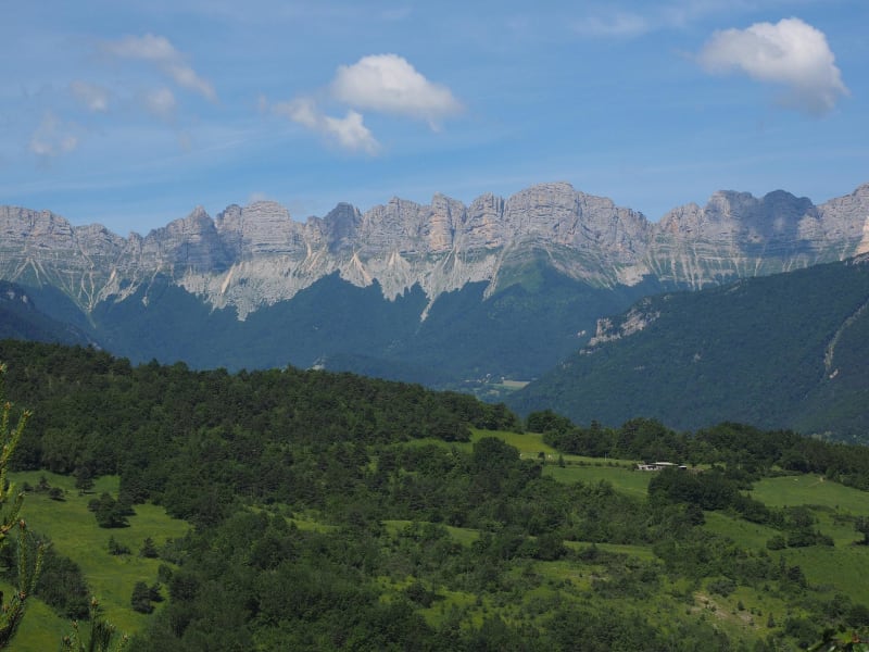 À travers la forêt de Méaudre et parfum de pinède - Méaudre