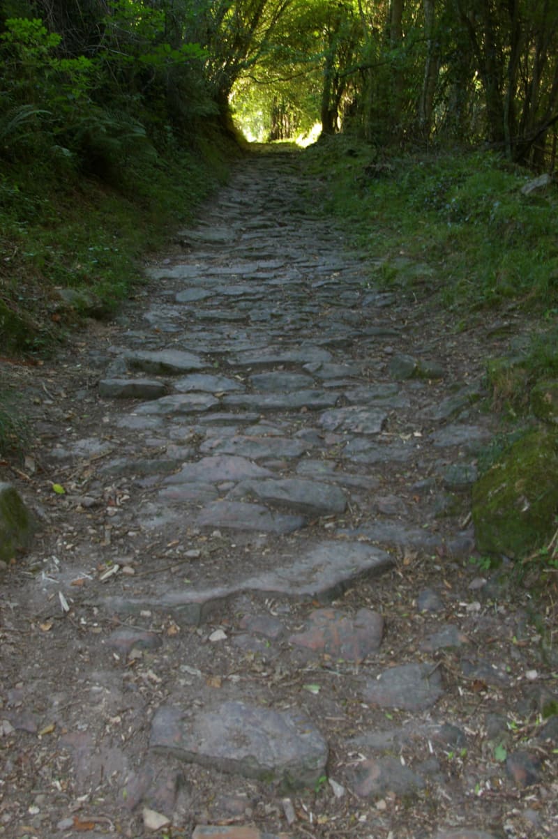 Virée en forêt de Breteuil et rencontres discrètes - Francheville