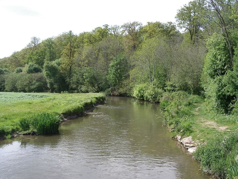 Escapade à La Ferrière-sur-Risle et faune campagnarde - La Ferrière-sur-Risle